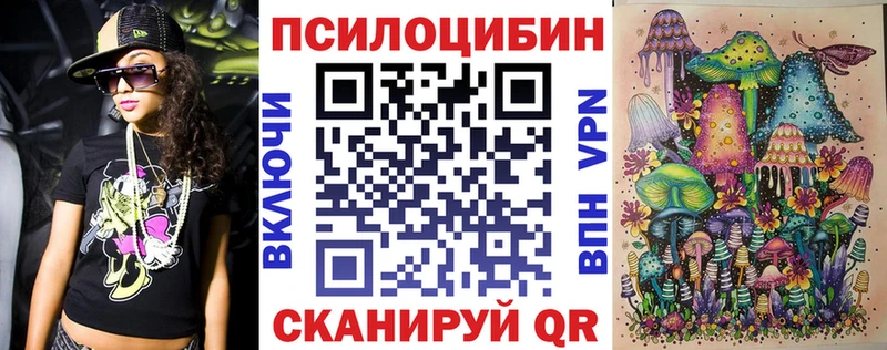дарнет шоп  Нижнекамск  Псилоцибиновые грибы MAGIC MUSHROOMS 