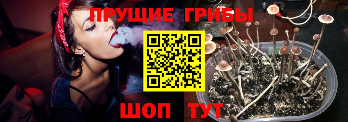 Галлюциногенные грибы Magic Shrooms Нижнекамск
