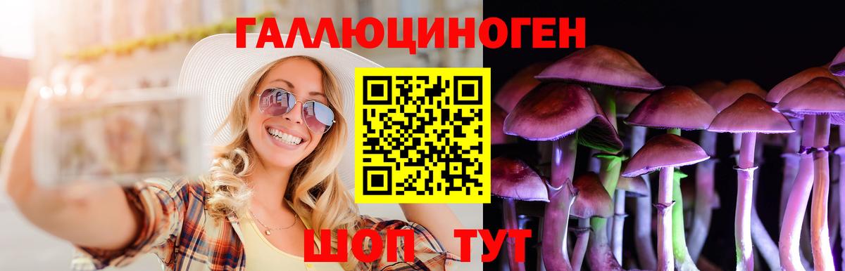 Нижнекамск  Псилоцибиновые грибы Psilocybine cubensis  Вход с VPN 